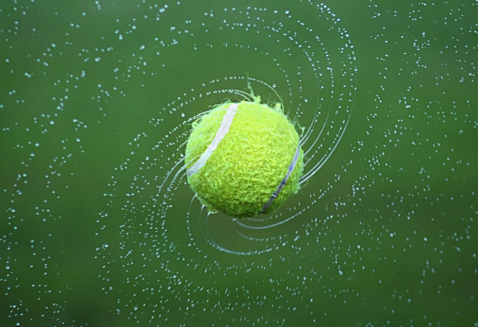 Breakpoint WordPress website Interwijs B.V.